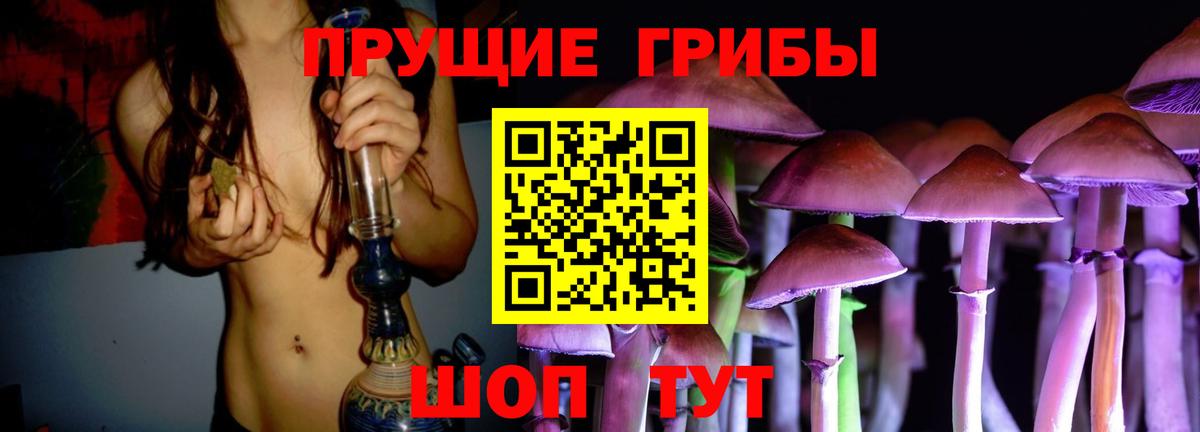 Галлюциногенные грибы прущие грибы  Вход с VPN  где найти наркотики  Тихорецк 